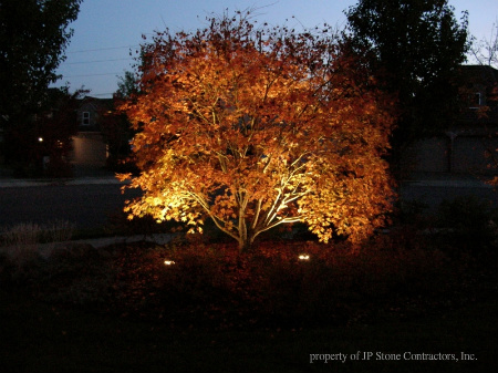 Accent Lighting